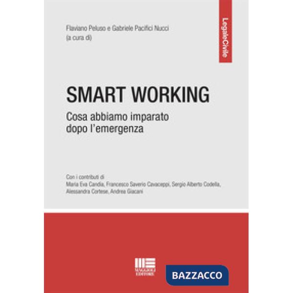 Smart working. Cosa abbiamo imparato dopo l'emergenza