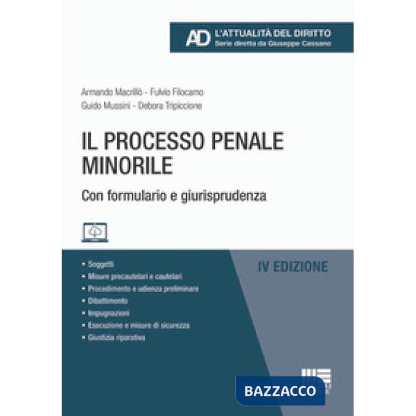 Il processo penale minorile