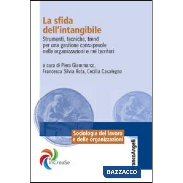 Sfida dell'intangibile. Strumenti, tecniche, trend per una gestione consapevole nelle organizzazioni e nei territori (La)