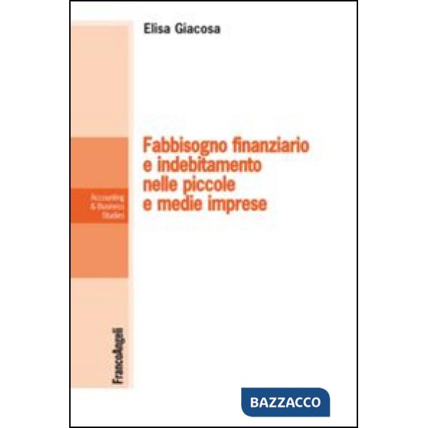 Fabbisogno finanziario e indebitamento nelle piccole e medie imprese