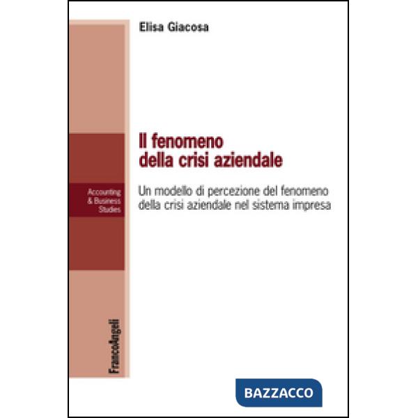 Fenomeno della crisi aziendale. Un modello di percezione del fenomeno della crisi aziendale nel sistema impresa (Il)