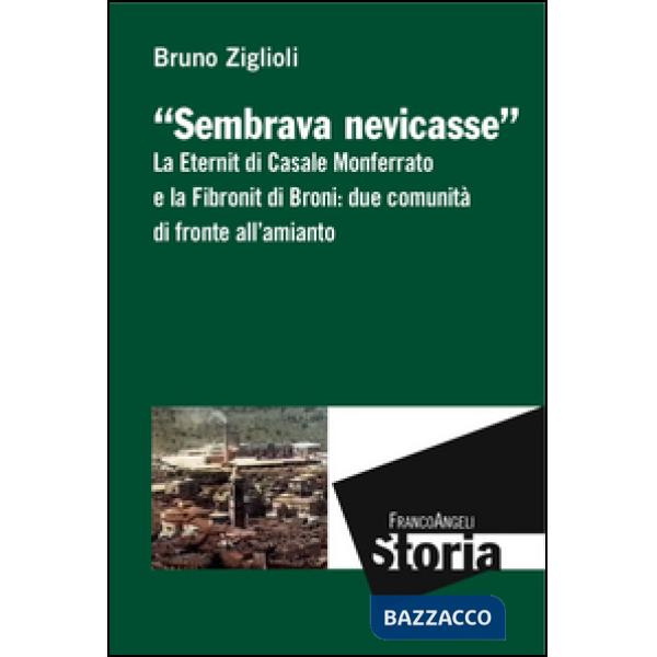 Sembrava nevicasse. La Eternit di Casale Monferrato e la Fibronit di Broni: due comunità di fronte all'amianto