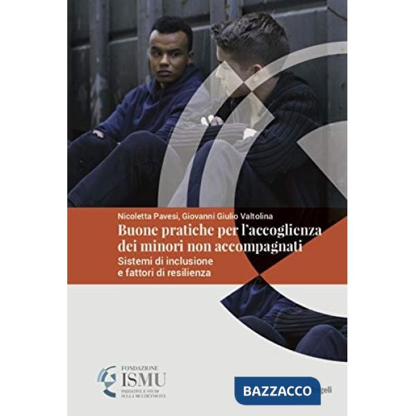 Buone pratiche nell'accoglienza dei minori non accompagnati in Italia. Sistemi di inclusione e fattori di resilienza (Le)