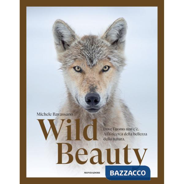 Wild beauty. Dove l'uomo non c'è. Alla ricerca della bellezza della natura. Ediz. a colori