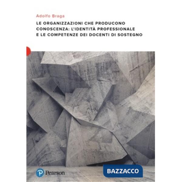 Organizzazioni che producono conoscenza: l'identità professionale e le competenze dei docenti di sostegno (Le)