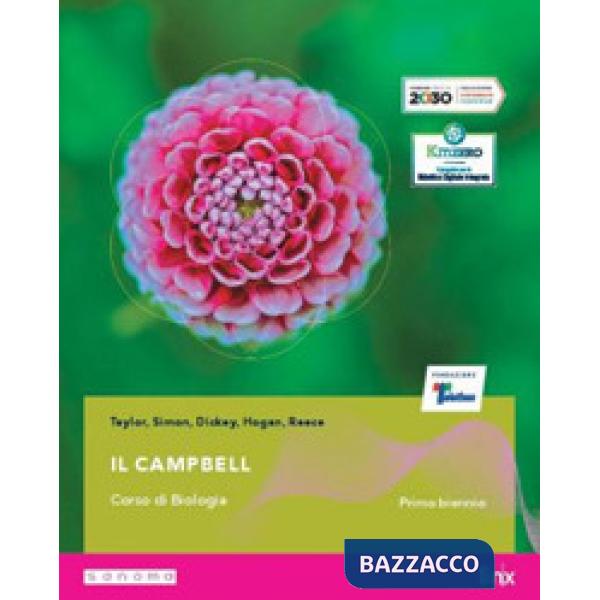 IL CAMPBELL + GUIDA ALLO STUDIO