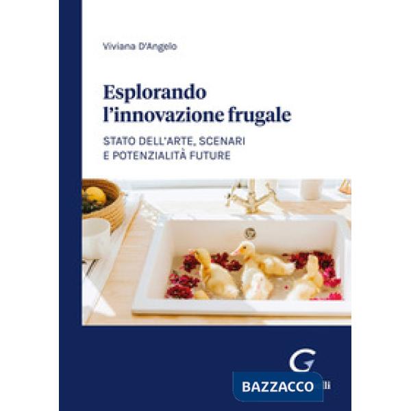 Esplorando l'innovazione frugale. Stato dell'arte, scenari e potenzialità future