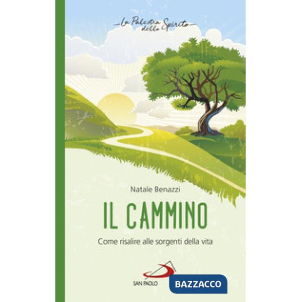 Cammino. Come risalire alle sorgenti della vita (Il)
