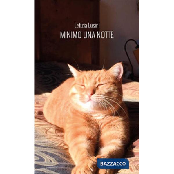 Minimo una notte