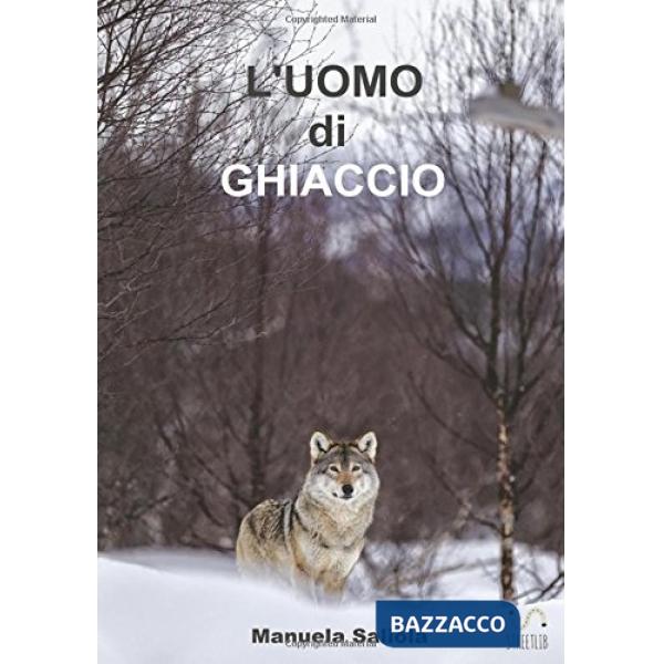 Uomo di ghiaccio (L')