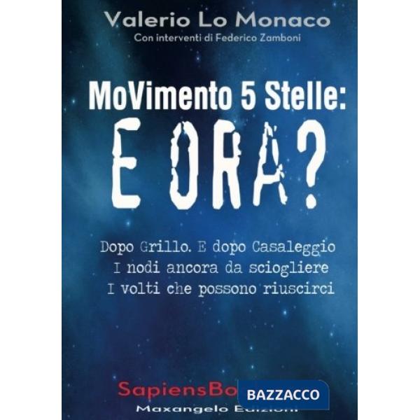 Movimento 5 Stelle: e ora?
