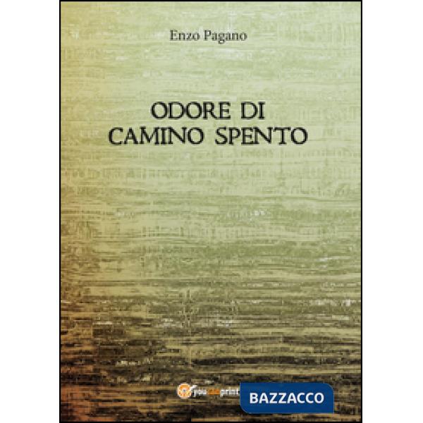 Odore di camino spento