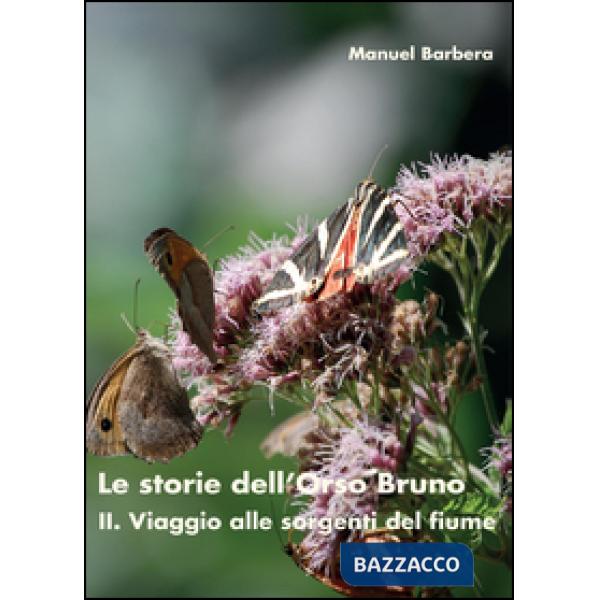 Storie dell'Orso Bruno. Il. Viaggio alle sorgenti del fiume (Le). Vol. 2