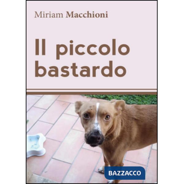 Piccolo bastardo (Il)