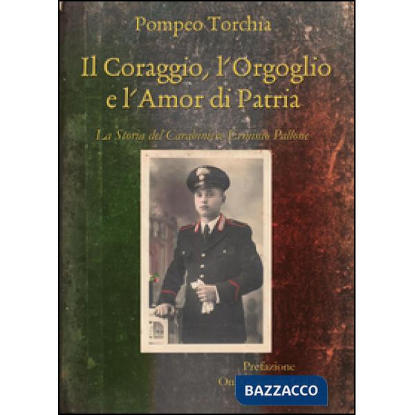 Coraggio, l'orgoglio e l'amor di patria. La storia del carabiniere Erminio Pallo
