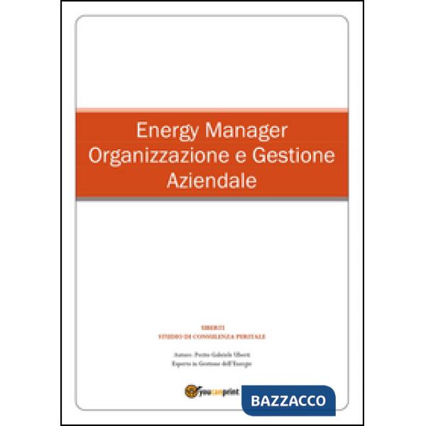 Energy manager. Organizzazione e gestione aziendale