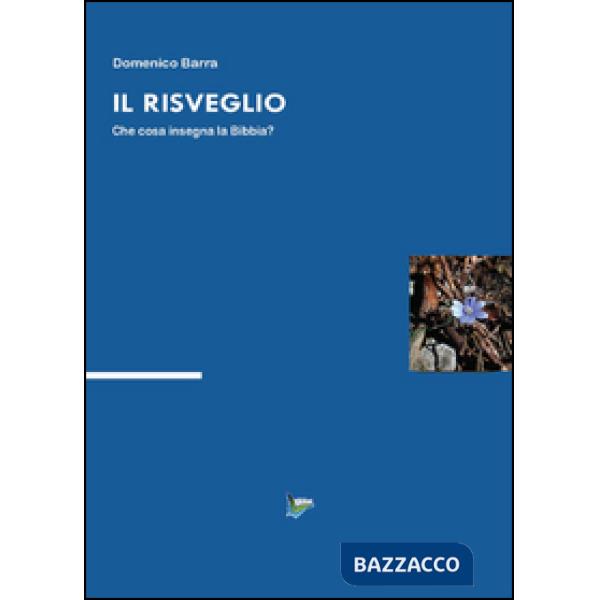 Risveglio (Il)