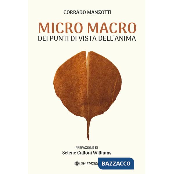 Micro macro. Dei punti di vista dell'anima
