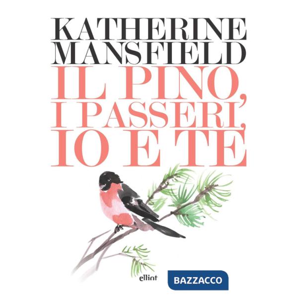 Pino, i passeri, io e te (Il)