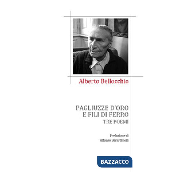 Pagliuzze d'oro e fili di ferro. Tre poemi