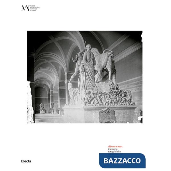 Album Museo. Immagini fotografiche ottocentesche del Museo Nazionale di Napoli. Ediz. illustrata