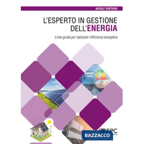 L'esperto in gestione dell'energia. Linee guida per realizzare l'efficienza energetica