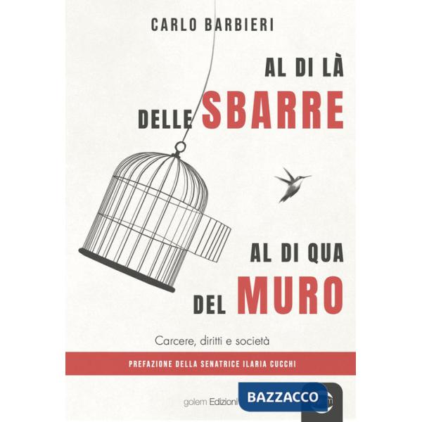 Al di la delle sbarre, al di qua del muro. Carcere, diritti e società