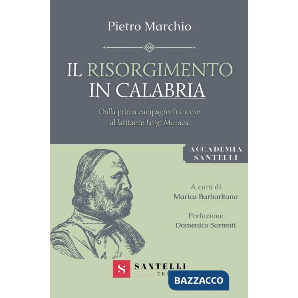 Risorgimento in Calabria. Dalla prima campagna francese al latitante Luigi Muraca (Il)