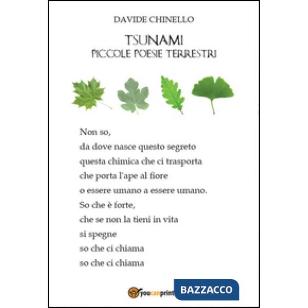 Tsunami, piccole poesie terrestri