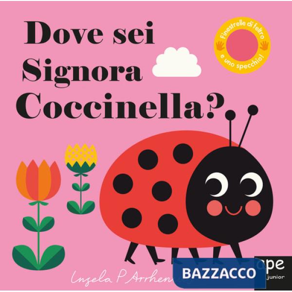 Dove sei, signora Coccinella? Ediz. a colori