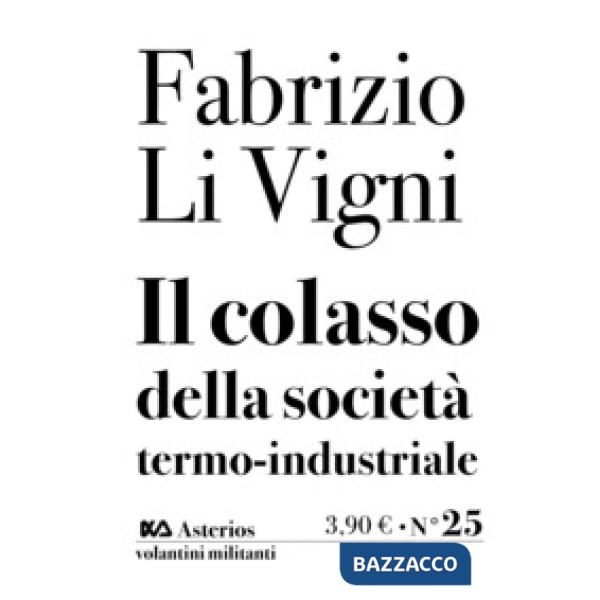 Collasso della società termo-industriale (Il)