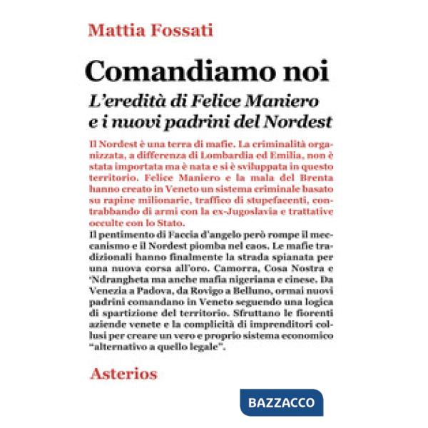 Comandiamo noi. L'eredità di Felice Maniero e i nuovi padrini del Nordest