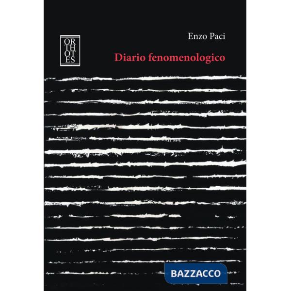 Diario fenomenologico