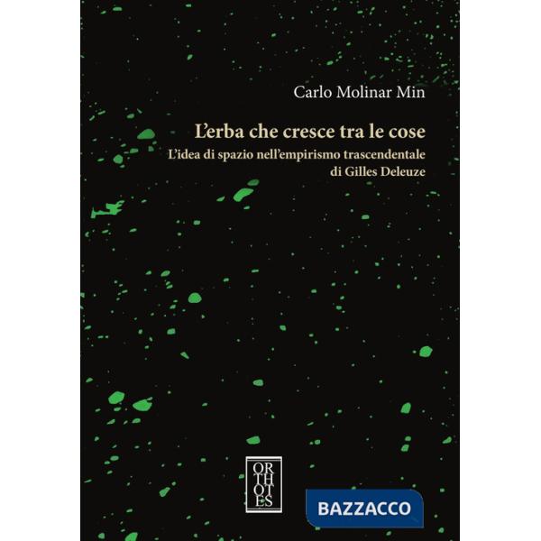 Erba che cresce tra le cose. L'idea di spazio nell'empirismo trascendentale di Gilles Deleuze (L')