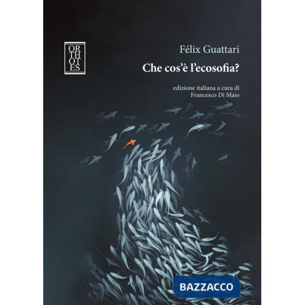 Che cos'è l'ecosofia?