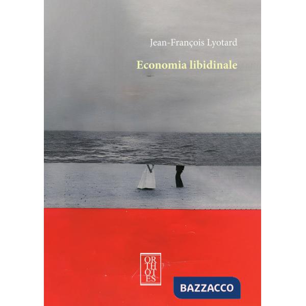 Economia libidinale