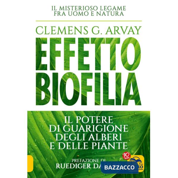 Effetto biofilia. Il potere di guarigione degli alberi e delle piante