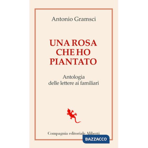 Rosa che ho piantato. Antologia delle lettere ai famigliari (Una)