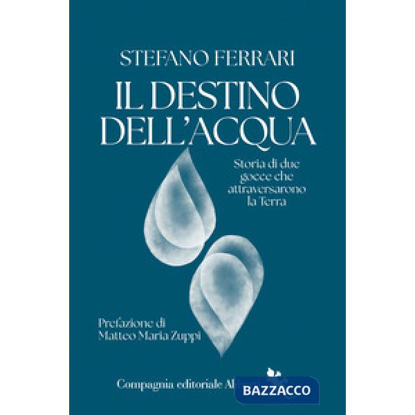 Destino dell'acqua. Storia di due gocce che attraversarono la Terra (Il)