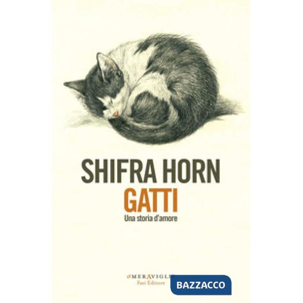 Gatti. Una storia d'amore