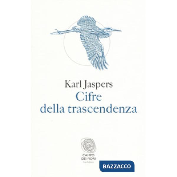 Cifre della trascendenza