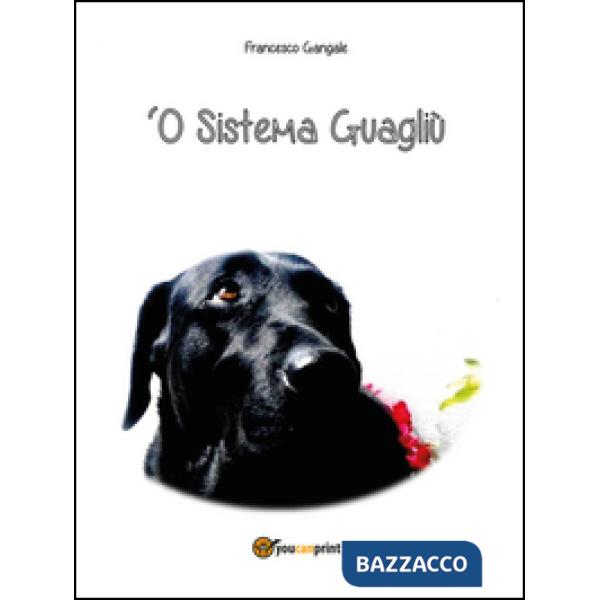'O sistema guagliù