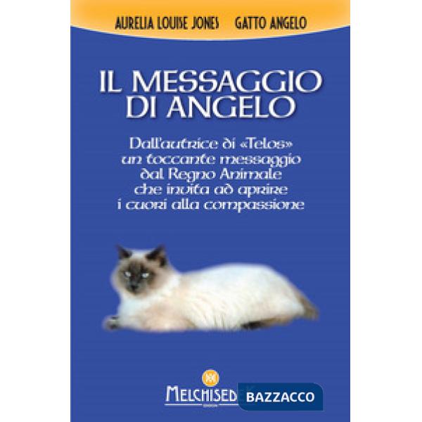 Messaggio di Angelo (Il)
