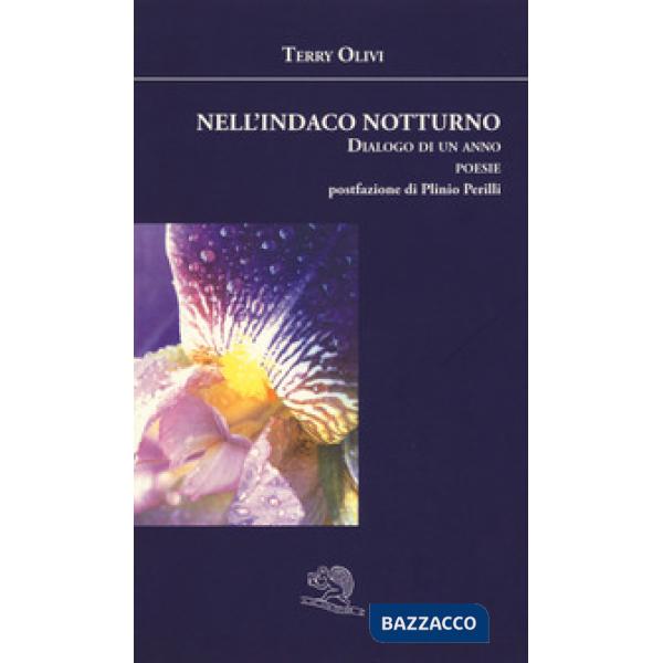 Nell'indaco notturno. Dialogo di un anno
