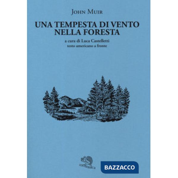Tempesta di vento nella foresta. Testo americano a fronte (Una)