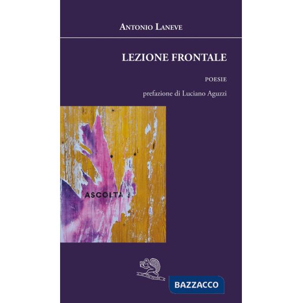 Lezione frontale