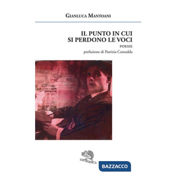 Punto in cui si perdono le voci (Il)