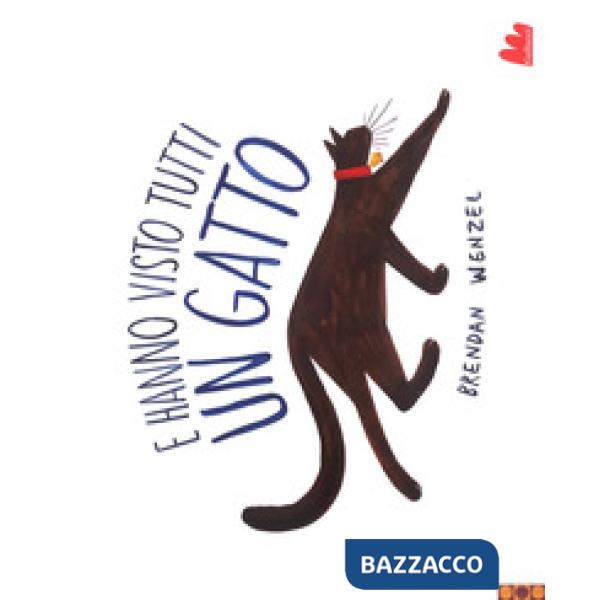 E hanno visto tutti un gatto. Ediz. a colori