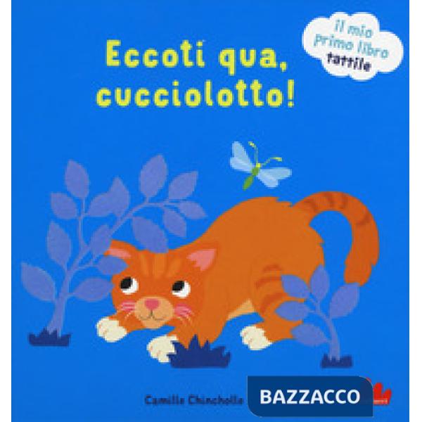 Eccoti qua, cucciolotto! Il mio primo libro tattile. Ediz. a colori
