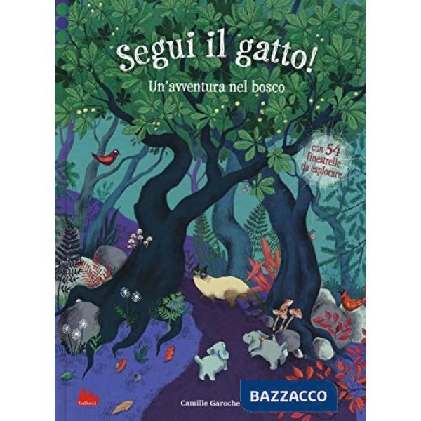 Segui il gatto! Un'avventura nel bosco. Ediz. a colori